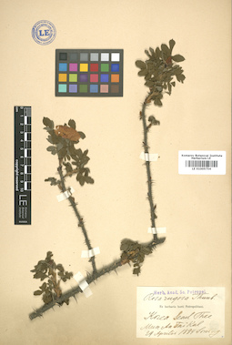 LE 01005754