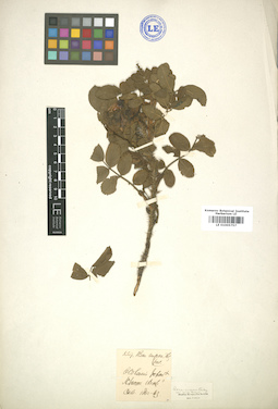 LE 01005757