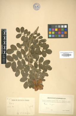 LE 01005758