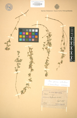 LE 01005759