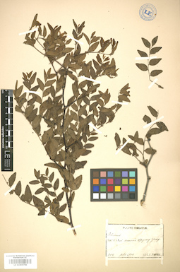 LE 01005760
