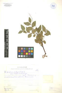 LE 01005761