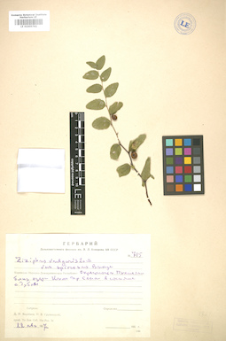 LE 01005762