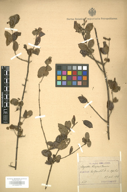 LE 01005770