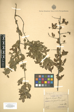 LE 01005771