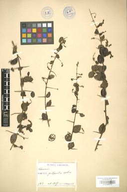 LE 01005772