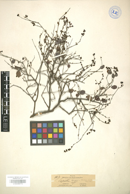 LE 01005773