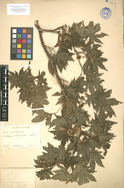 LE 01005839