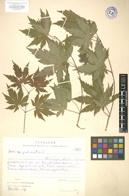 LE 01005840