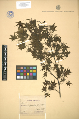 LE 01005841
