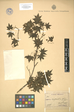LE 01005844