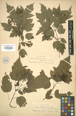 LE 01005879