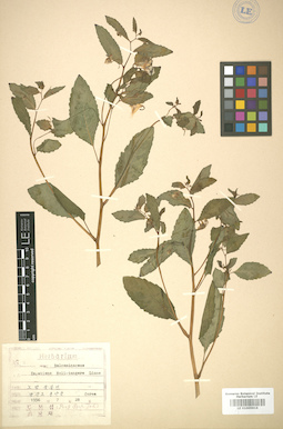 LE 01005916