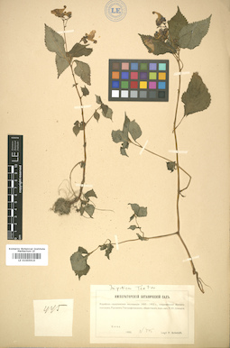 LE 01005919