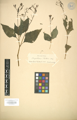 LE 01005921