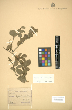 LE 01005923