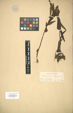 LE 01005986