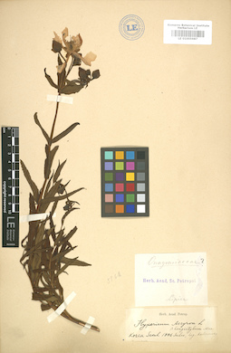 LE 01005987