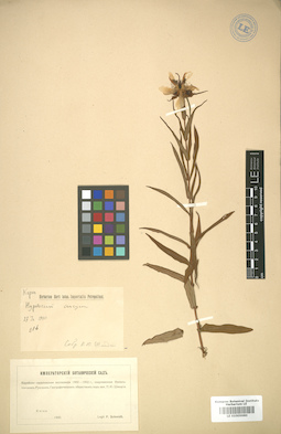 LE 01005990