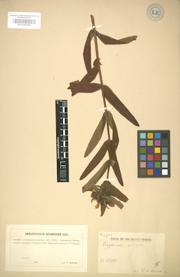 LE 01005991