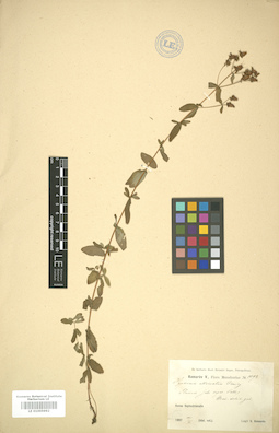 LE 01005992