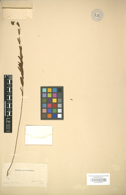 LE 01005993