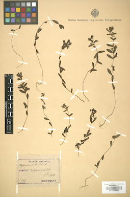 LE 01005995