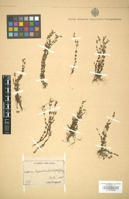 LE 01005996