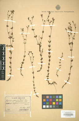 LE 01005997