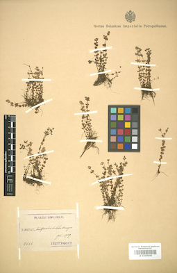 LE 01005998