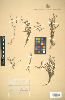 LE 01005999