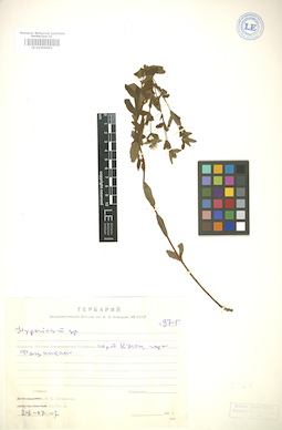 LE 01006003