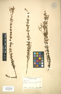 LE 01006004