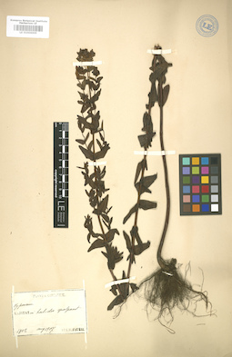 LE 01006005