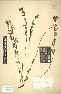 LE 01006006