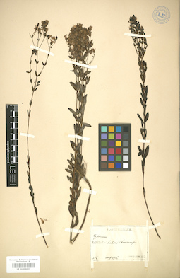 LE 01006007