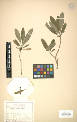 LE 01006012