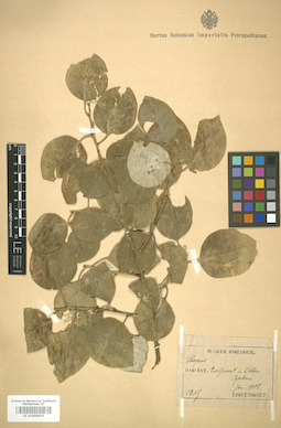 LE 01006025