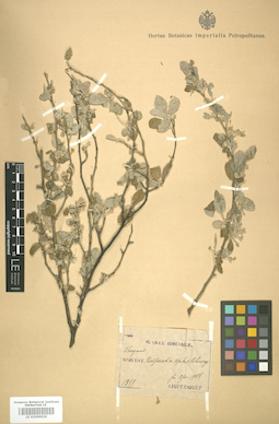 LE 01006026
