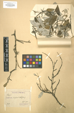 LE 01006027