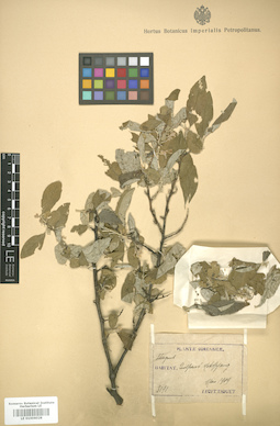 LE 01006028