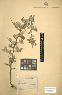 LE 01006030
