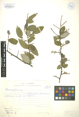 LE 01006034