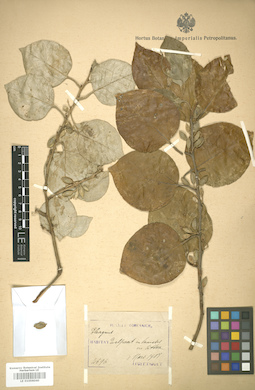 LE 01006040