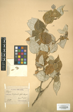 LE 01006044