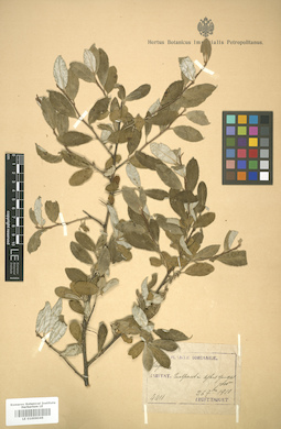 LE 01006046