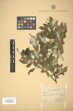 LE 01006047