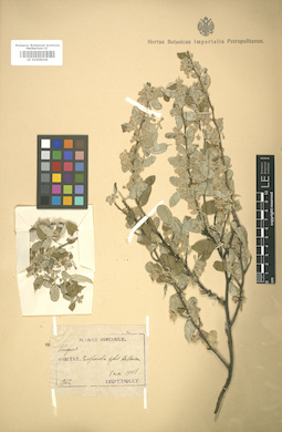 LE 01006048