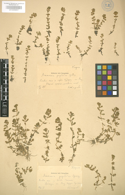 LE 01006057