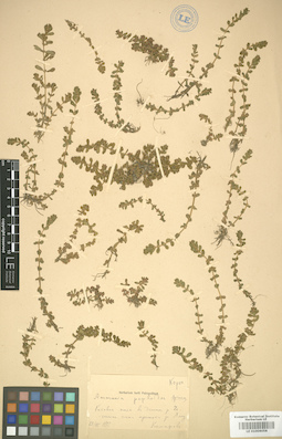 LE 01006058